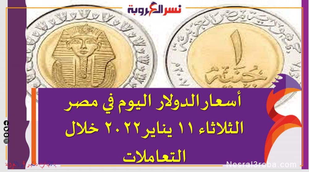 أسعار الدولار اليوم في مصر الثلاثاء 11 يناير 2022 خلال التعاملات