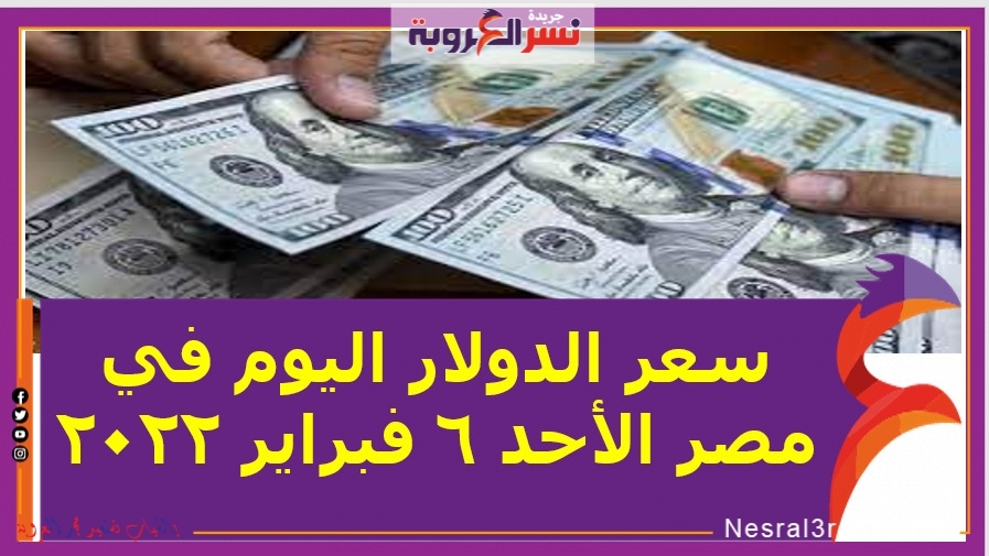 سعر الدولار اليوم في مصر الأحد 6 فبراير 2022 خلال التعاملات