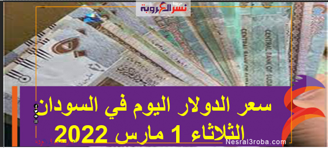 سعر الدولار اليوم في السودان الثلاثاء 1 مارس 2022 خلال التعاملات