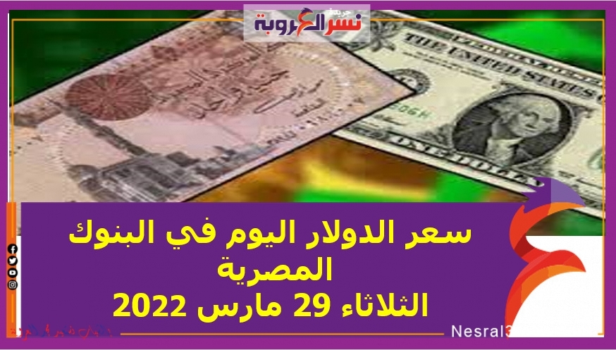 شهد استقرار سعر عملة الدولار الأمركى مقابل الجنيه المصري اليوم في البنوك المصرية، بنهاية تعاملات الثلاثاء، بحسب وضوح شاشات التداول لدى البنك المركزي المصري. حيث سجل سعر عملة الدولار الأمريكى مقابل الجنيه المصري خلال تعاملات اليوم في البنك المركزي المصري 18.27 جنيه للشراء، و18.37 جنيه للبيع، مقابل 18.26 جنيه للشراء، و18.36 جنيه للبيع في ختام تداولات أمس الإثنين.