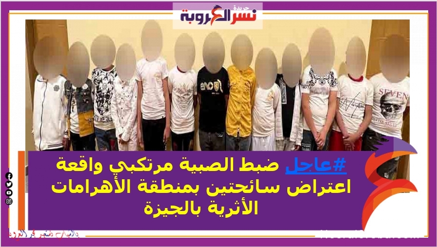 ضبط شباب مرتكبي واقعة اعتراض سائحتين بمنطقة الأهرامات الأثرية بالجيزة