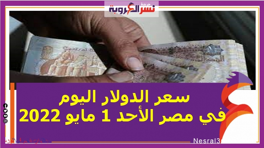 سعر الدولار اليوم في مصر الأحد 1 مايو 2022.. خلال التعاملات