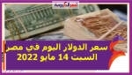 سعر الدولار اليوم في مصر السبت 14 مايو 2022..خلال التعاملات