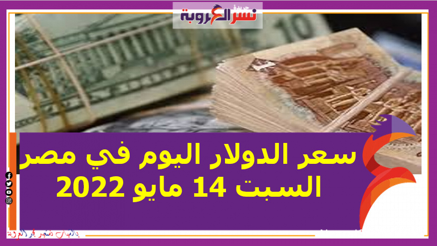 سعر الدولار اليوم في مصر السبت 14 مايو 2022..خلال التعاملات