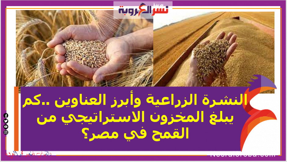 النشرة الزراعية وأبرز العناوين ..كم يبلغ المخزون الاستراتيجي من القمح في مصر؟