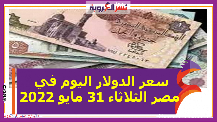 تعرف على سعر الدولار اليوم في مصر الثلاثاء 31 مايو 2022