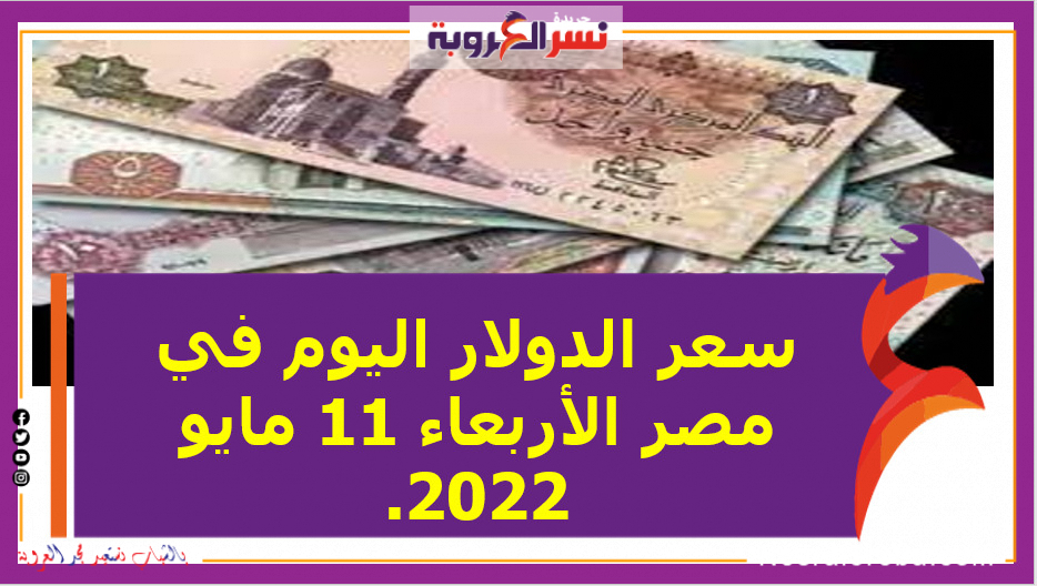 سعر الدولار اليوم في مصر الأربعاء 11 مايو 2022.. خلال التعاملات