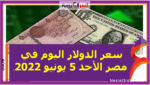سعر الدولار اليوم في مصر الأحد 5 يونيو 2022..خلال التعاملات