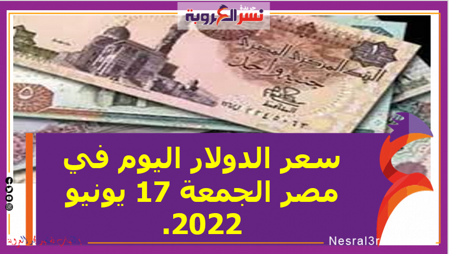 سعر الدولار اليوم في مصر الجمعة 17 يونيو 2022.. خلال التعاملات