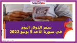 سعر الدولار اليوم في سوريا الأحد 5 يونيو 2022.. خلال التعاملات