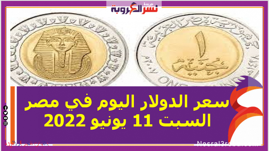 سعر الدولار اليوم في مصر السبت 11 يونيو 2022.. خلال التعاملات