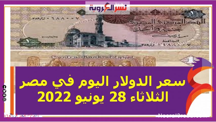 سعر الدولار اليوم في مصر الثلاثاء 28 يونيو 2022.. خلال التعاملات