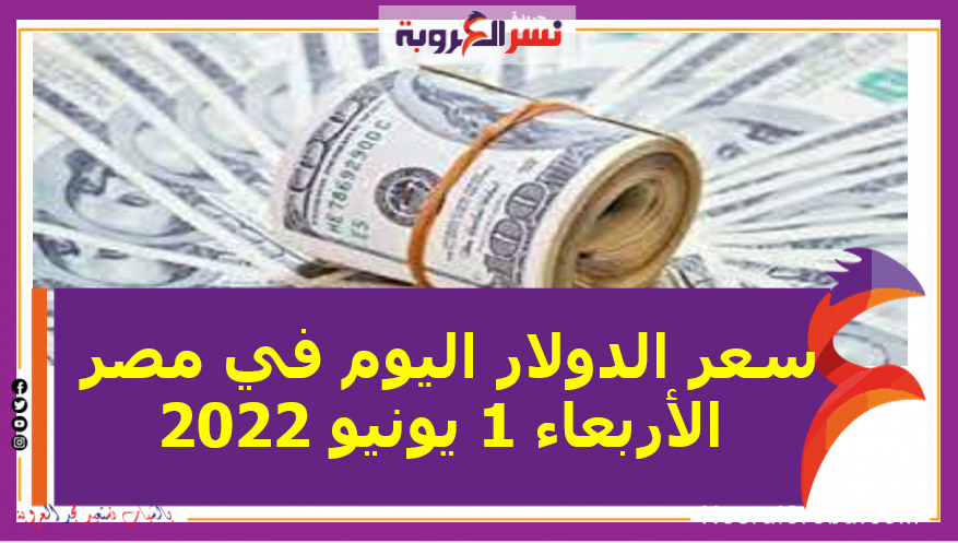سعر الدولار اليوم في مصر الأربعاء 1 يونيو 2022 خلال التعاملات