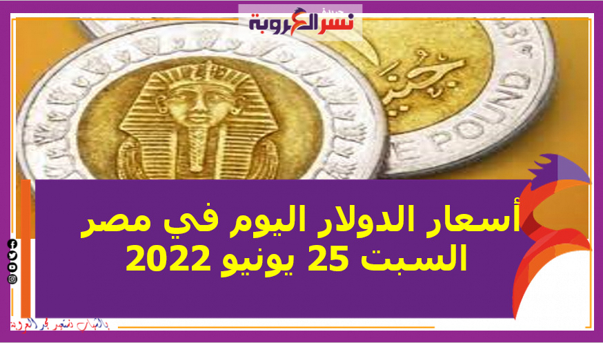أسعار الدولار اليوم في مصر السبت 25 يونيو 2022.داخل الصرافة
