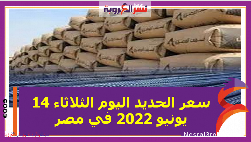 سعر الحديد اليوم الثلاثاء 14 يونيو 2022 في مصر خلال التعاملات