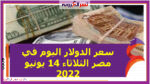 سعر الدولار اليوم في مصر الثلاثاء 14 يونيو 2022.. خلال التعاملات