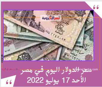 سعر الدولار اليوم في مصر الأحد 17 يوليو 2022..هادئة