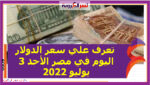 سعر الدولار اليوم في مصر الأحد 3 يوليو 2022.. بالبنوك الحكومية والخاصة