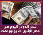 سعر الدولار اليوم في مصر الإثنين 25 يوليو 2022