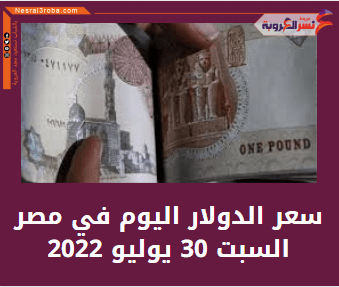 سعر الدولار اليوم في مصر السبت 30 يوليو 2022.. لدى البنوك