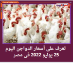 تعرف على أسعار الدواجن اليوم 25 يوليو 2022 فى مصر