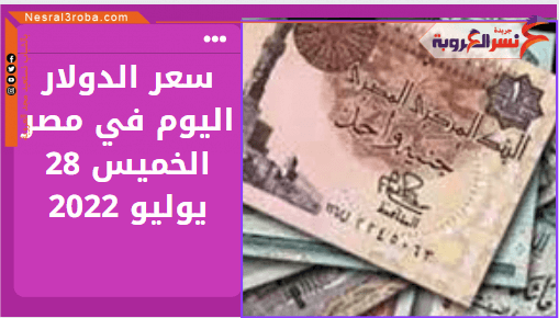 سعر الدولار اليوم في مصر الخميس 28 يوليو 2022.. خلال التعاملات