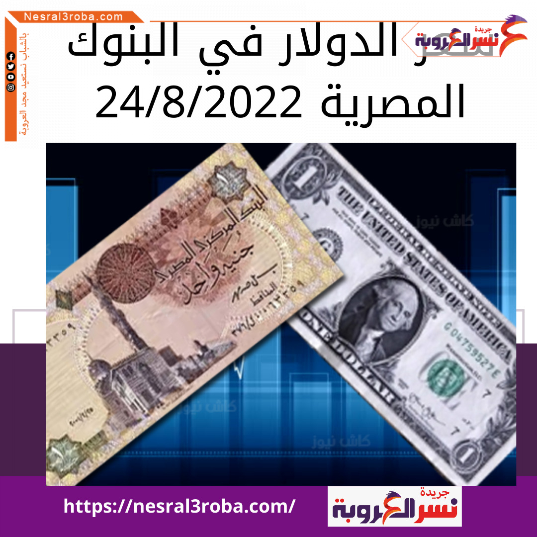 سعر الدولار اليوم في البنوك المصرية الأربعاء 24 خلال التداول