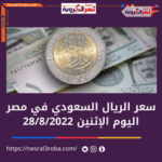 سعر الريال السعودي اليوم في مصر الإثنين 29 أغسطس 2022.. داخل البنوك