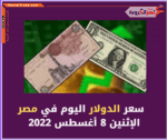 سعر الدولار اليوم في مصر الإثنين 8 أغسطس 2022.. لدى البنك المركزي والبنوك الحكومية والخاصة.