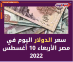سعر الدولار اليوم في مصر الأربعاء 10 أغسطس 2022.. لدى البنوك الحكومية والخاصة.