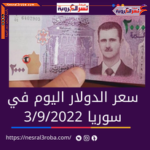 الدولار بسوريا السبت 3 سبتمبر 2022.. خلال تعاملات الصباح لدى السوق الموازية