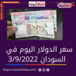 سعر الدولار اليوم في السودان السبت 3 سبتمبر 2022.. لدى البنك المركزي