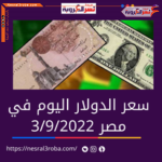 الدولار في مصر السبت 3 سبتمبر 2022.. لدى البنك المركزي وبعض البنوك