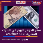 سعر الدولار الجديد الآن في البنوك مقابل الجنيه الأحد4/9/2022