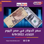 سعر الدولار داخل مصر الثلاثاء 6 سبتمبر 2022.. في البنوك