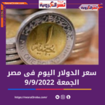 كم سعر الدولار اليوم في مصر الجمعة 9 سبتمبر 2022.. لدى البنوك الخاصة والحكومية