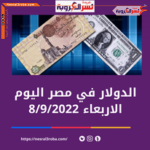 كم سعر الدولار اليوم بالمصري الخميس 8 سبتمبر 2022