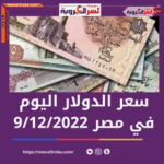 سعر الدولار اليوم في مصر الإثنين 12 سبتمبر 2022.. خلال التداول