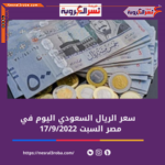 سعر الريال السعودي اليوم في مصر السبت 17 سبتمبر 2022.. لدى البنك المركزي والبنوك الخاصة