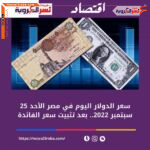 سعر صرف الدولار اليوم في مصر الأحد 25 سبتمبر 2022.. بعد تثبيت سعر الفائدة