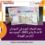 سعر الدولار اليوم في السودان الأحد 8 يناير 2023.. الجنيه عد أيام من الهبوط.