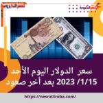 سعر صرف الدولار مقابل الجنيه المصري اليوم الأحد 1/15/ 2023 بعد أخر صعود
