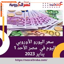 سعر اليورو و الجنيه الاسترليني اليوم في مصر الأحد 1 يناير 2023.. تباين طفيف