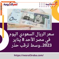 سعر الريال السعودي والاسترليني اليوم في مصر الأحد 8 يناير 2023..وسط ترقب حذر