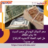 سعر الدولار اليوم في مصر السبت 14 يناير 2023.. هل تعود العملة الاجنبيه للارتفاع من جديد؟