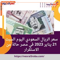 سعر الريال السعودي اليوم السبت 21 يناير 2023 في مصر حالة من الاستقرار