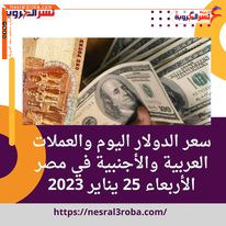 سعر الدولار اليوم والعملات العربية والأجنبية في مصر الأربعاء 25 يناير 2023