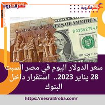 سعر الدولار اليوم في مصر السبت 28 يناير 2023.. استقرار داخل البنوك