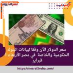 سعر الدولار الآن وفقا لبيانات البنوك الحكومية والخاصة في مصر الأربعاء 1 فبراير