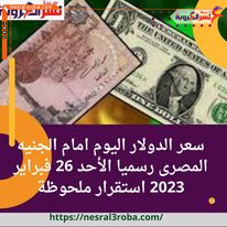 سعر الدولار اليوم امام الجنيه المصرى رسميا الأحد 26 فبراير 2023 استقرار ملحوظة